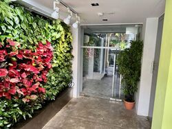 Bukit Pasoh Conservation Area (D2), Office #540162271